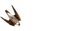 Provence Effarouchement  | Effarouchement, Dispositifs anti pigeons
